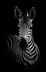 Canvas Animal Posters And Print Wall Decor