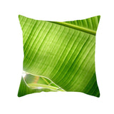 Tropical Plants Pillowcase Decor