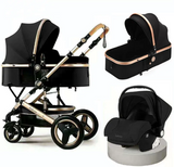 Sky View Stroller