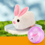 Transparent Cat Chasing Ball Built-in Plush Animal Plastic Interactive Cat Toy Realistic Rabbit Hamster Chasing Ball
