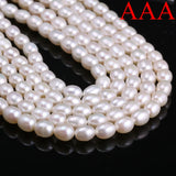 A Natural Freshwater Pearl Bead Rice Shape Christmas Gift Ladies White Jewelry Making DIY Fashion Bracelet Necklace Accessories