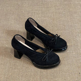 Women's High Heels 2025 Spring Autumn New Vintage Fashion Bow Knot Party Chunky Heels Outdoor Non Slip Luxury Mary Jane Shoes
