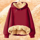 2024 Autumn and Winter New Hooded Lamb Fleece Hoodie Solid Color with Thick Fleece for Men and Women, Warm and Casual Versatile