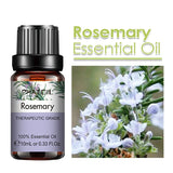 PHATOIL 10ml Ginger Essential Oil for Perfume Candles Making Spa Massage Humidifier Rose Jasmine Pine Needles Tangerine Thyme