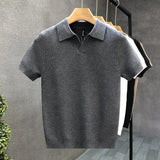 2026 Men's Summer Polo Shirt Korean Style Slim Wrinkle Resistant Collar Solid Color T-Shirts Casual Thin Sleeve Trendy Knit Tops