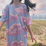Summer Embroidery Piggy T-Shirt for College Girls